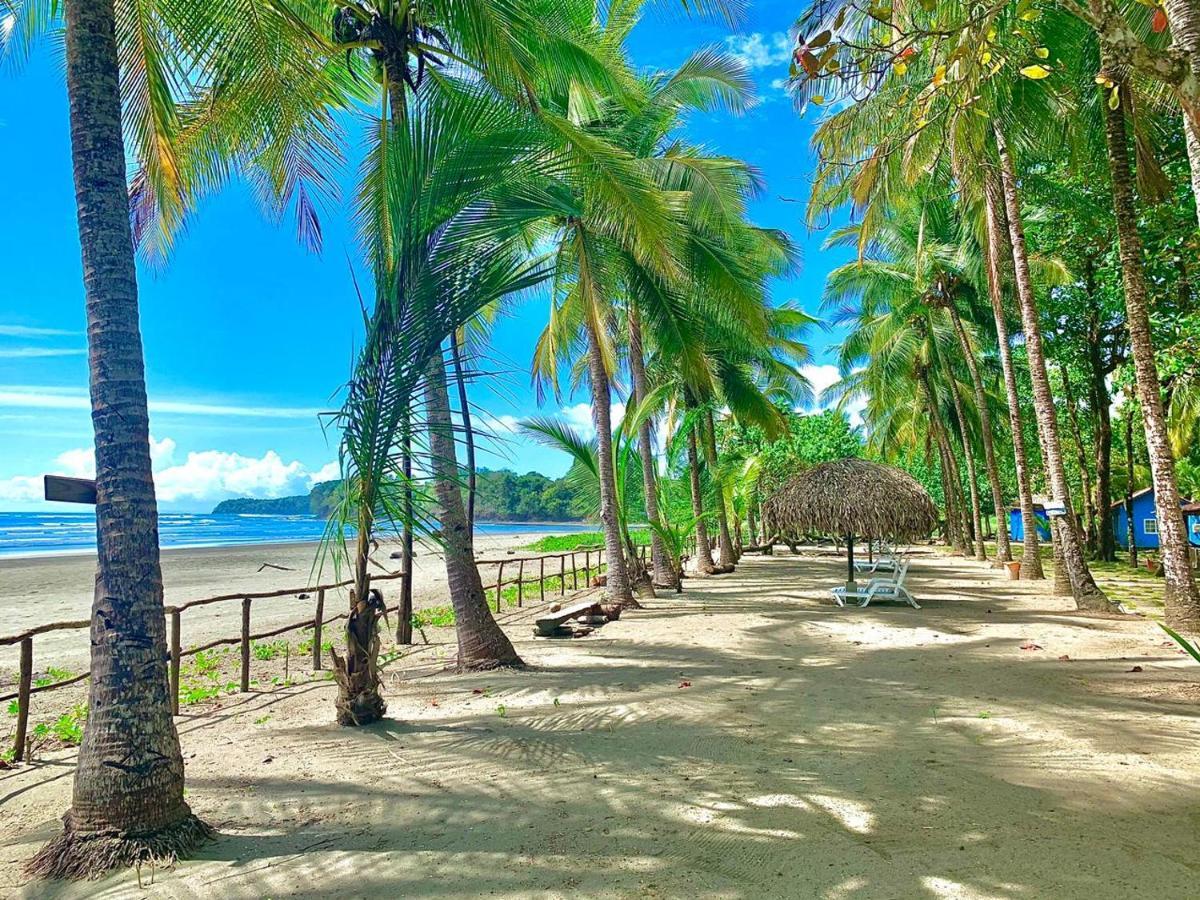 Hotel Oasis & Surf Camp Santa Catalina Exteriör bild