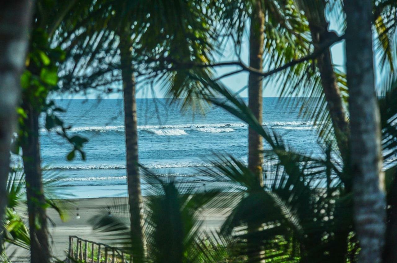 Hotel Oasis & Surf Camp Santa Catalina Exteriör bild